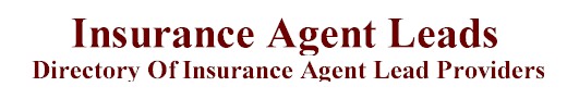 insurance agent leads marketing