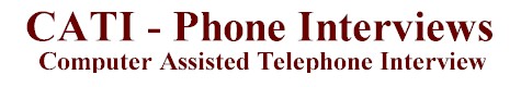 computer aided telephone interview